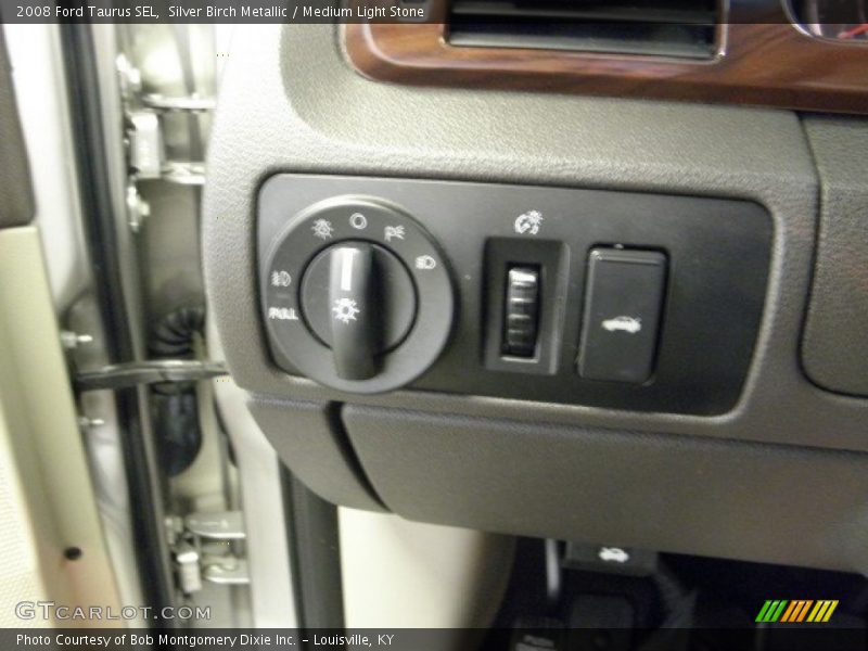 Silver Birch Metallic / Medium Light Stone 2008 Ford Taurus SEL