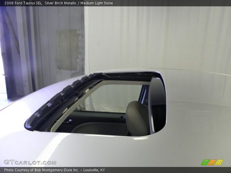 Silver Birch Metallic / Medium Light Stone 2008 Ford Taurus SEL