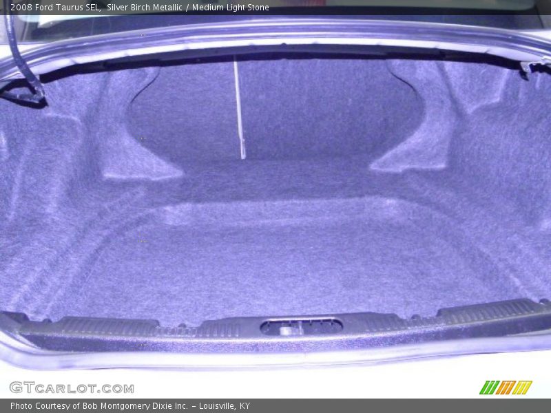 Silver Birch Metallic / Medium Light Stone 2008 Ford Taurus SEL