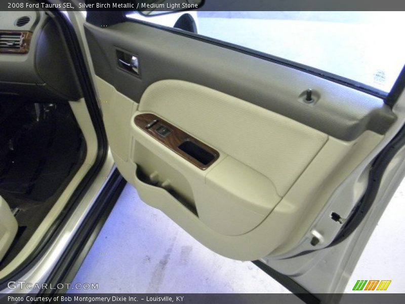 Silver Birch Metallic / Medium Light Stone 2008 Ford Taurus SEL