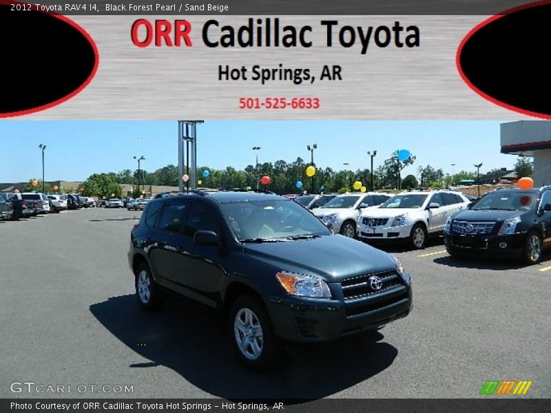 Black Forest Pearl / Sand Beige 2012 Toyota RAV4 I4