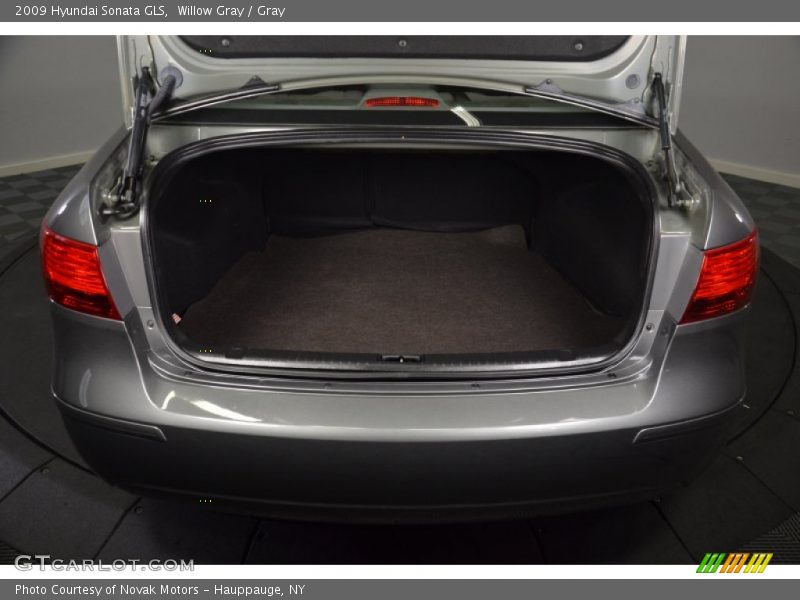Willow Gray / Gray 2009 Hyundai Sonata GLS
