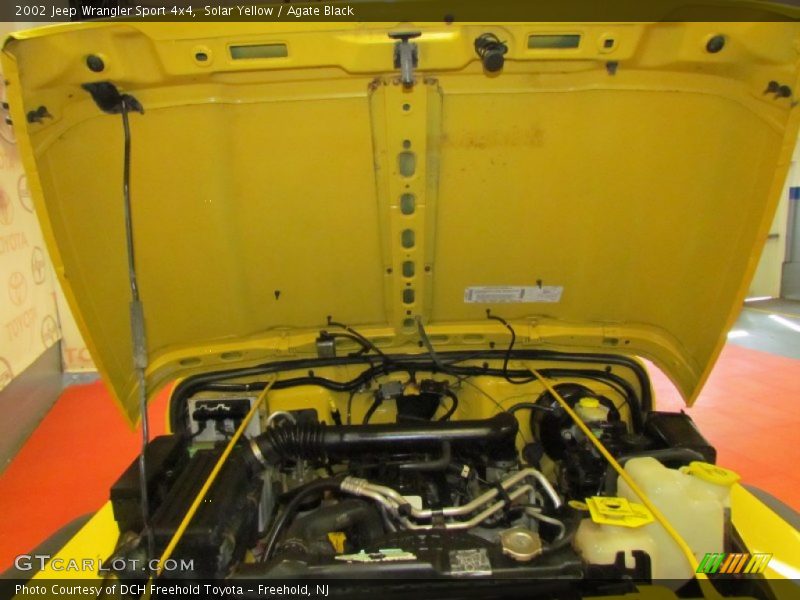 Solar Yellow / Agate Black 2002 Jeep Wrangler Sport 4x4
