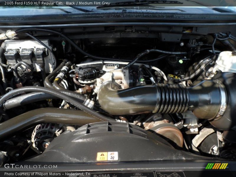 Black / Medium Flint Grey 2005 Ford F150 XLT Regular Cab