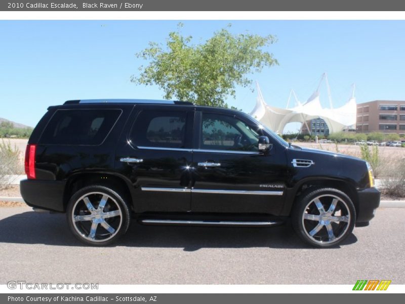 Black Raven / Ebony 2010 Cadillac Escalade