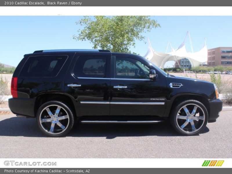 Black Raven / Ebony 2010 Cadillac Escalade
