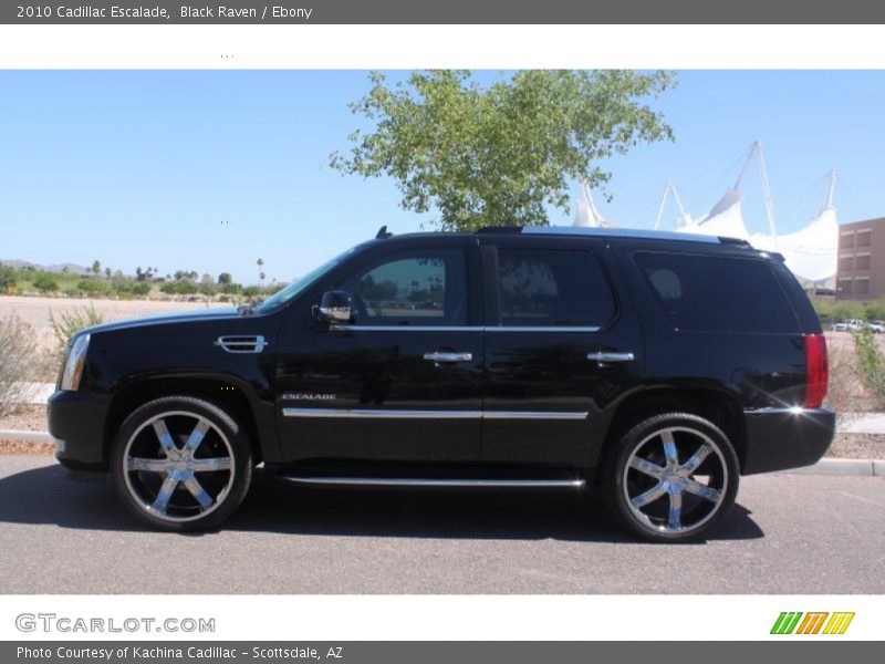 Black Raven / Ebony 2010 Cadillac Escalade