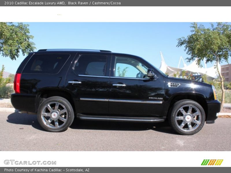 Black Raven / Cashmere/Cocoa 2010 Cadillac Escalade Luxury AWD