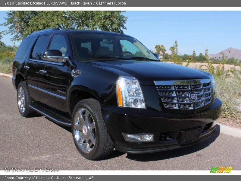 Black Raven / Cashmere/Cocoa 2010 Cadillac Escalade Luxury AWD