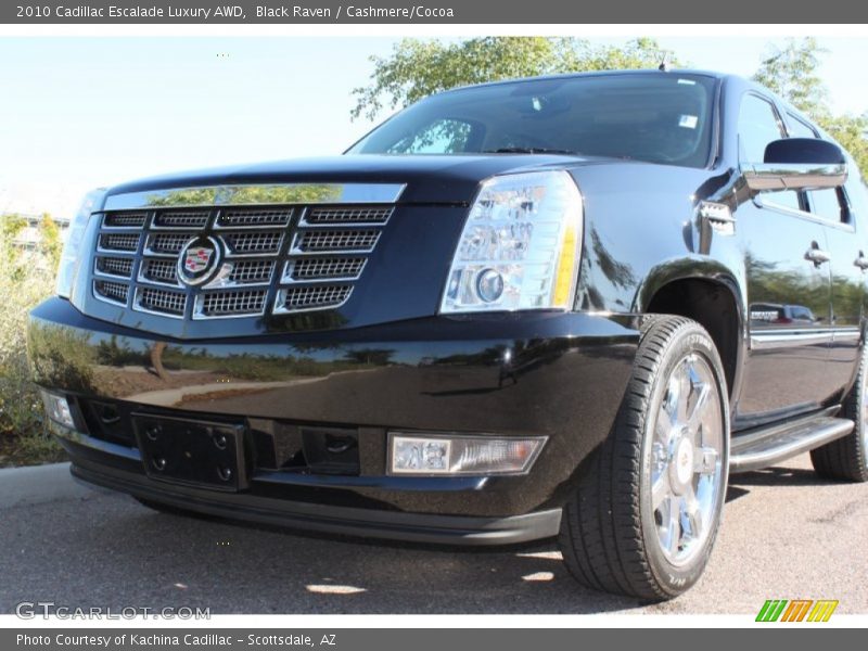 Black Raven / Cashmere/Cocoa 2010 Cadillac Escalade Luxury AWD