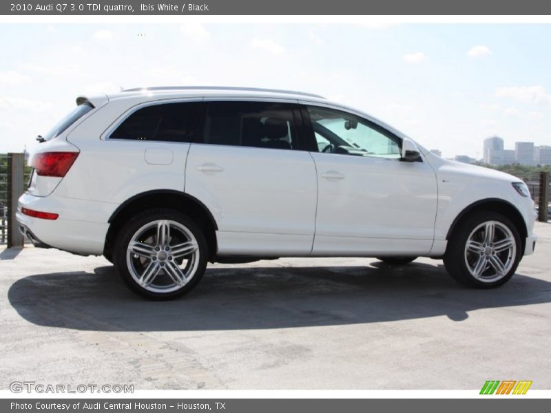Ibis White / Black 2010 Audi Q7 3.0 TDI quattro