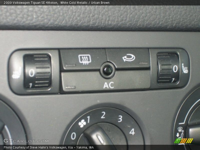 White Gold Metallic / Urban Brown 2009 Volkswagen Tiguan SE 4Motion
