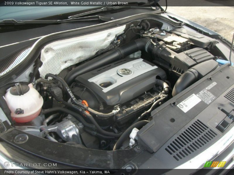 White Gold Metallic / Urban Brown 2009 Volkswagen Tiguan SE 4Motion
