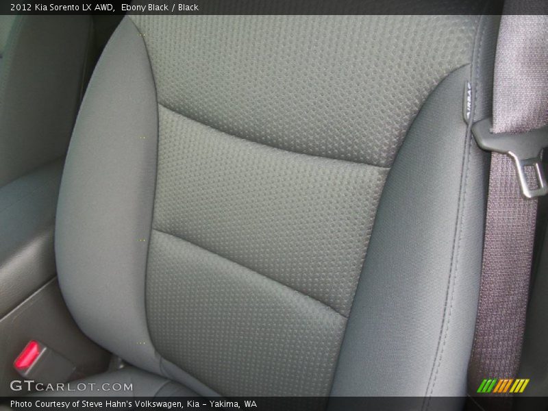 Ebony Black / Black 2012 Kia Sorento LX AWD