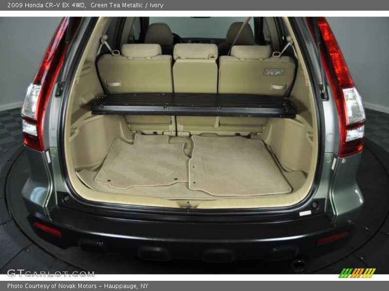 Green Tea Metallic / Ivory 2009 Honda CR-V EX 4WD