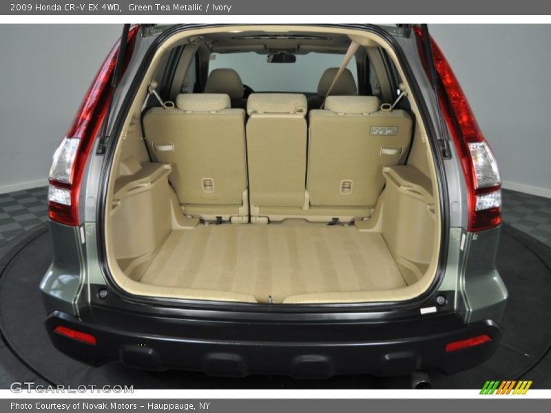 Green Tea Metallic / Ivory 2009 Honda CR-V EX 4WD