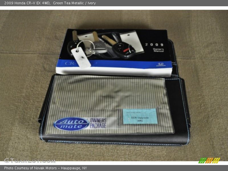 Green Tea Metallic / Ivory 2009 Honda CR-V EX 4WD