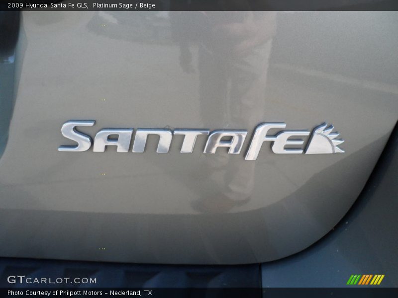 Platinum Sage / Beige 2009 Hyundai Santa Fe GLS