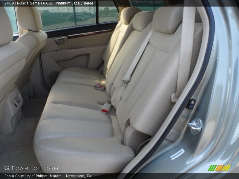 Platinum Sage / Beige 2009 Hyundai Santa Fe GLS
