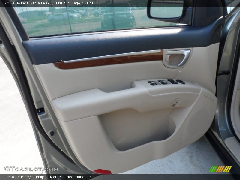 Platinum Sage / Beige 2009 Hyundai Santa Fe GLS