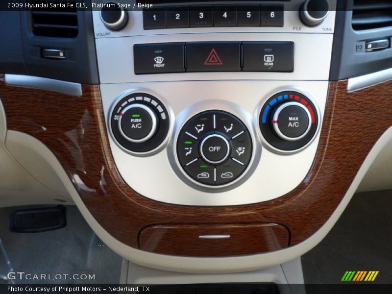 Platinum Sage / Beige 2009 Hyundai Santa Fe GLS