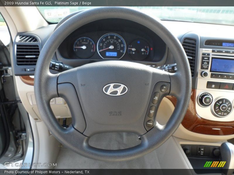 Platinum Sage / Beige 2009 Hyundai Santa Fe GLS