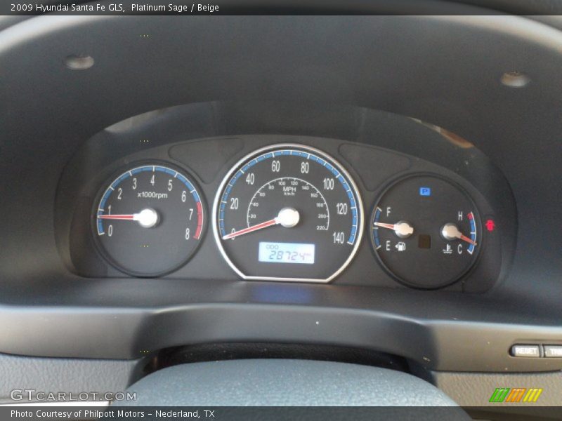 Platinum Sage / Beige 2009 Hyundai Santa Fe GLS