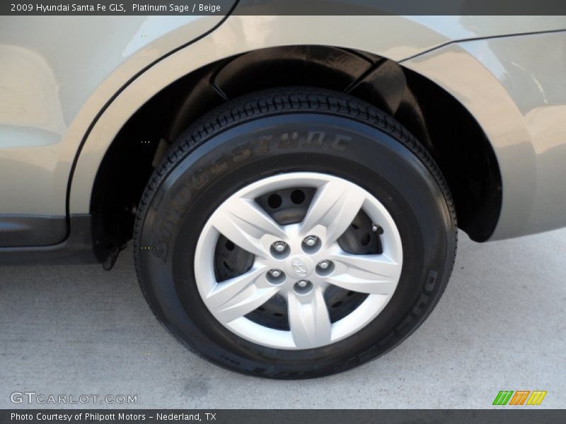 Platinum Sage / Beige 2009 Hyundai Santa Fe GLS