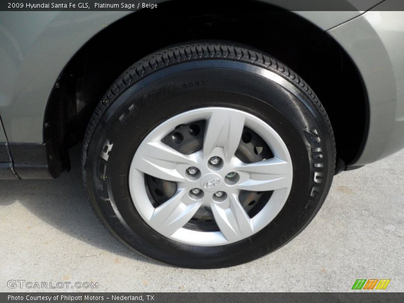 Platinum Sage / Beige 2009 Hyundai Santa Fe GLS