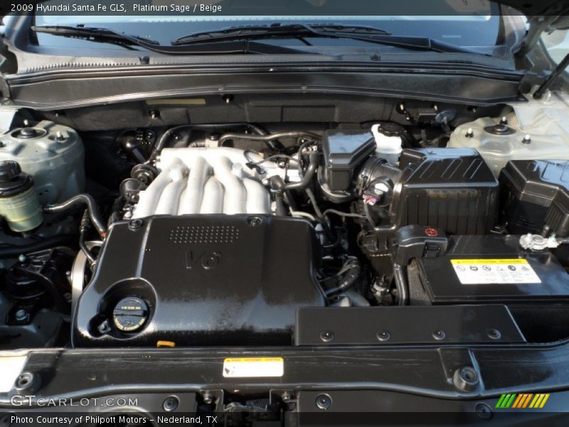 Platinum Sage / Beige 2009 Hyundai Santa Fe GLS