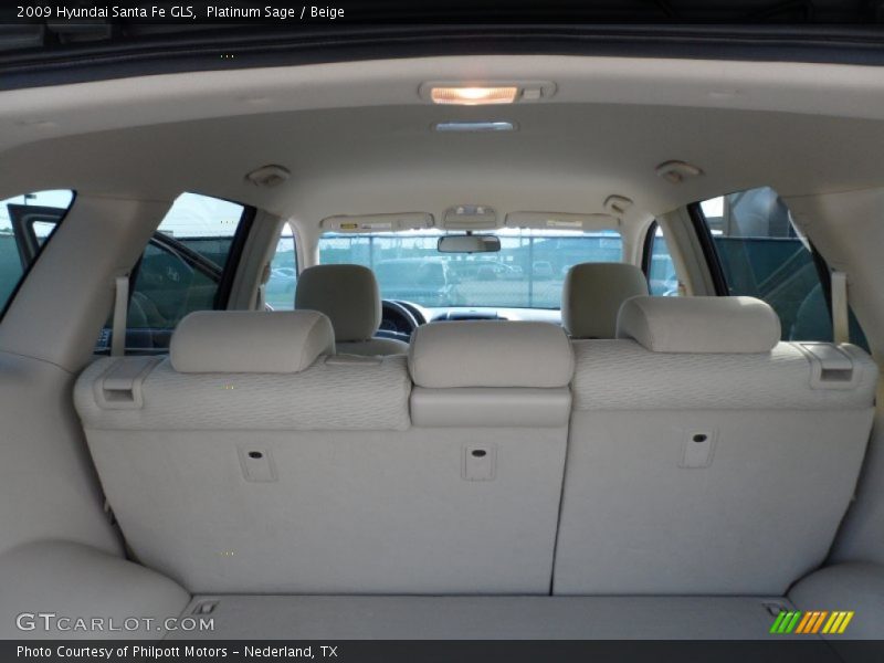 Platinum Sage / Beige 2009 Hyundai Santa Fe GLS