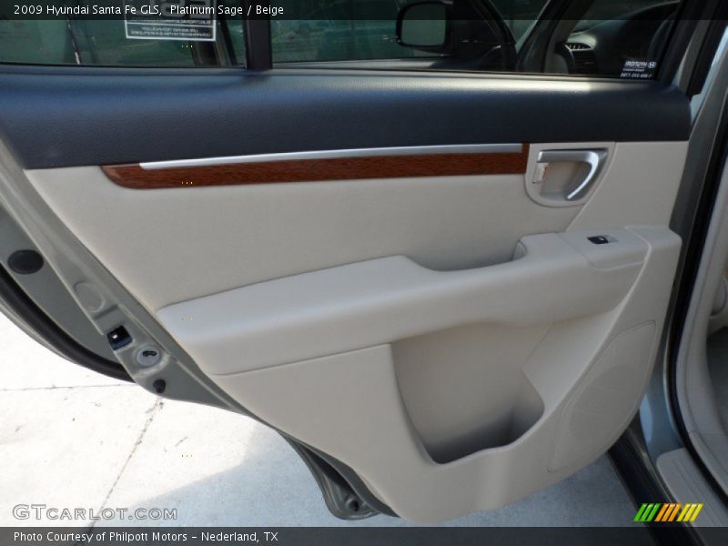 Platinum Sage / Beige 2009 Hyundai Santa Fe GLS