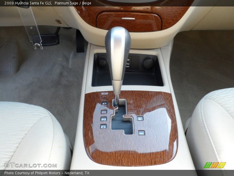 Platinum Sage / Beige 2009 Hyundai Santa Fe GLS