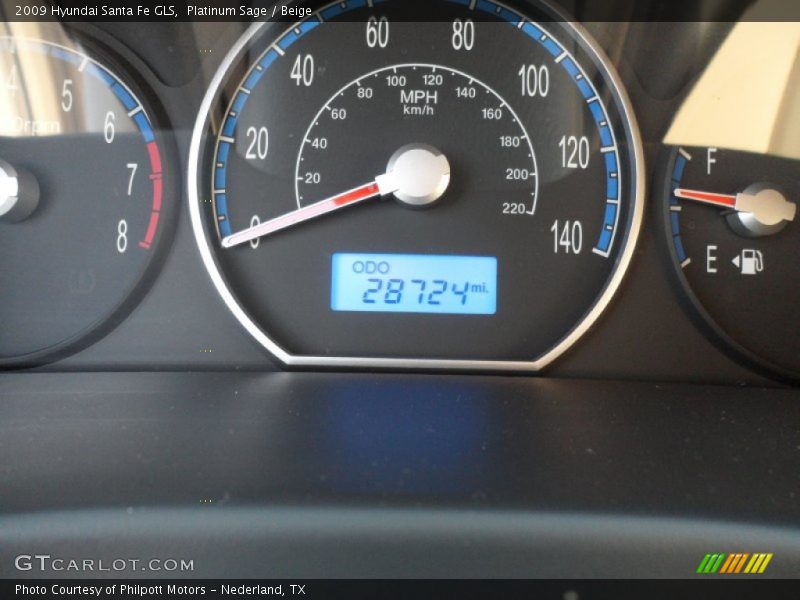 Platinum Sage / Beige 2009 Hyundai Santa Fe GLS
