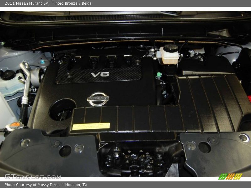 Tinted Bronze / Beige 2011 Nissan Murano SV