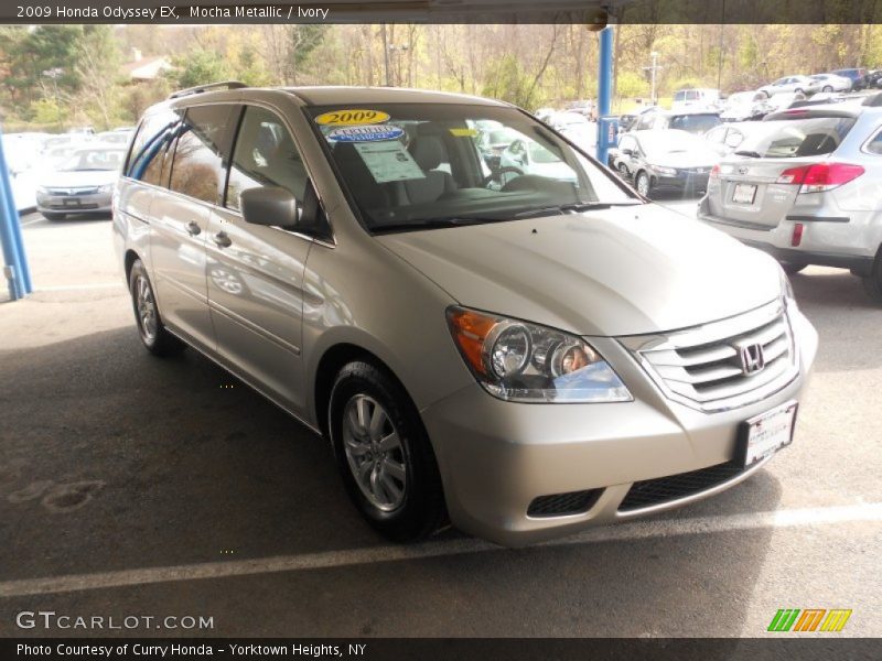 Mocha Metallic / Ivory 2009 Honda Odyssey EX