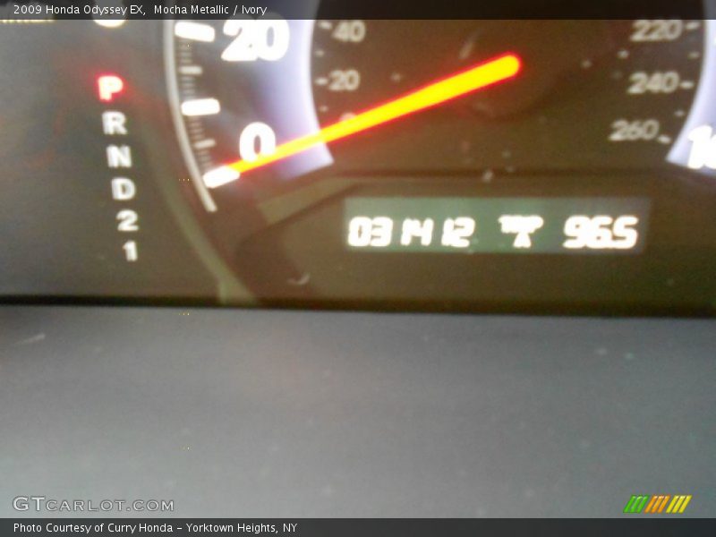 Mocha Metallic / Ivory 2009 Honda Odyssey EX