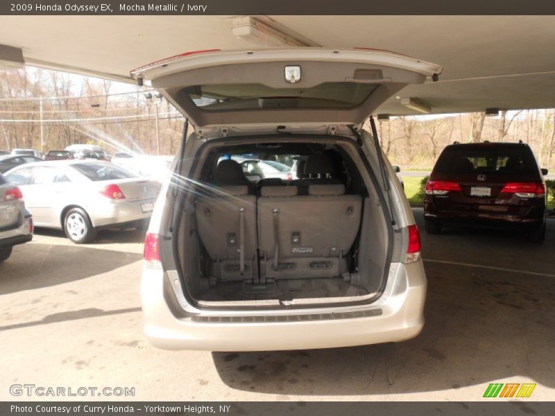 Mocha Metallic / Ivory 2009 Honda Odyssey EX