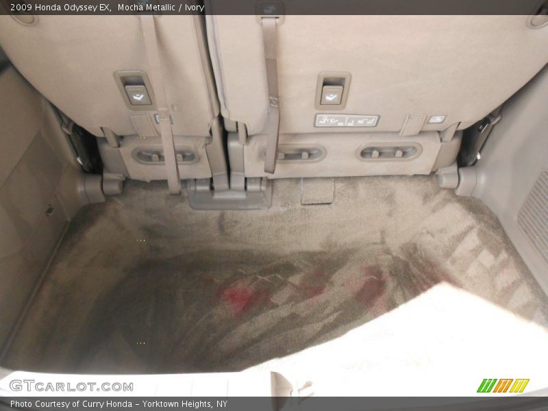 Mocha Metallic / Ivory 2009 Honda Odyssey EX