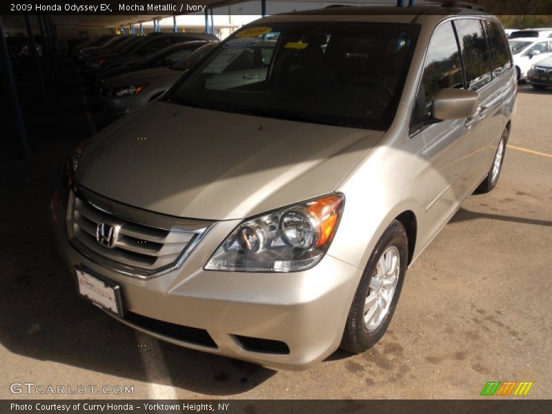 Mocha Metallic / Ivory 2009 Honda Odyssey EX