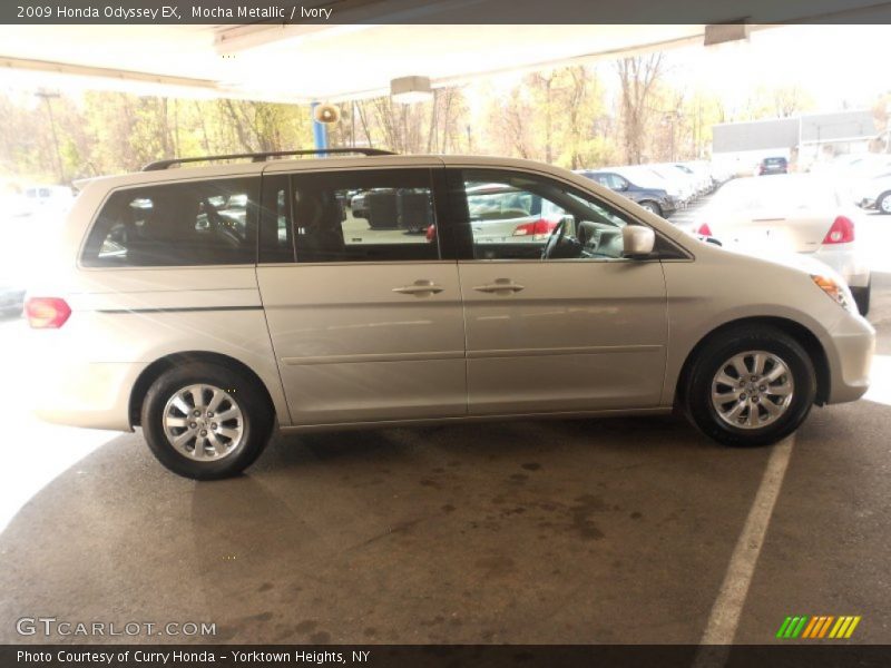Mocha Metallic / Ivory 2009 Honda Odyssey EX