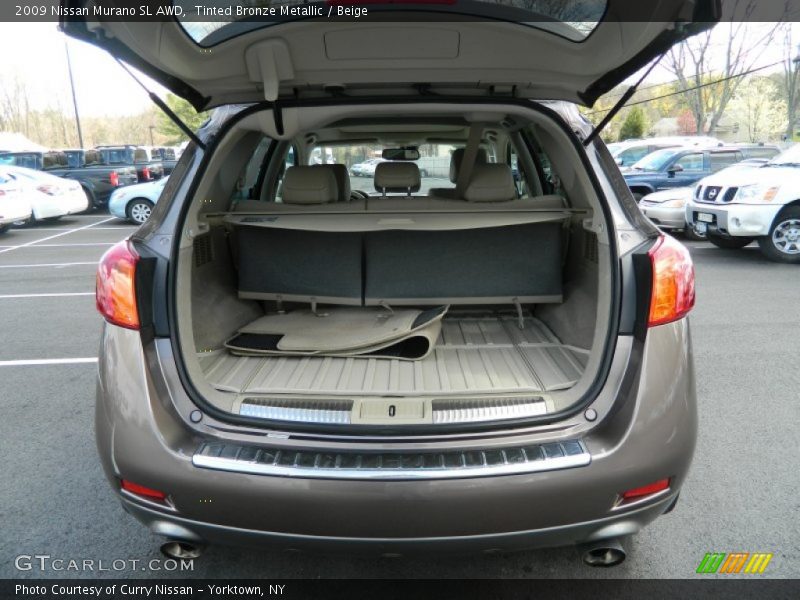 Tinted Bronze Metallic / Beige 2009 Nissan Murano SL AWD