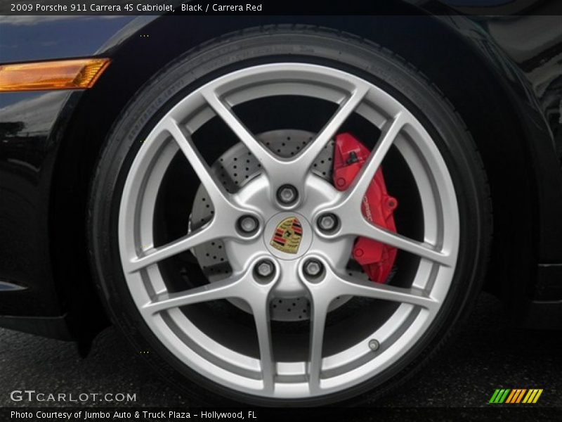  2009 911 Carrera 4S Cabriolet Wheel