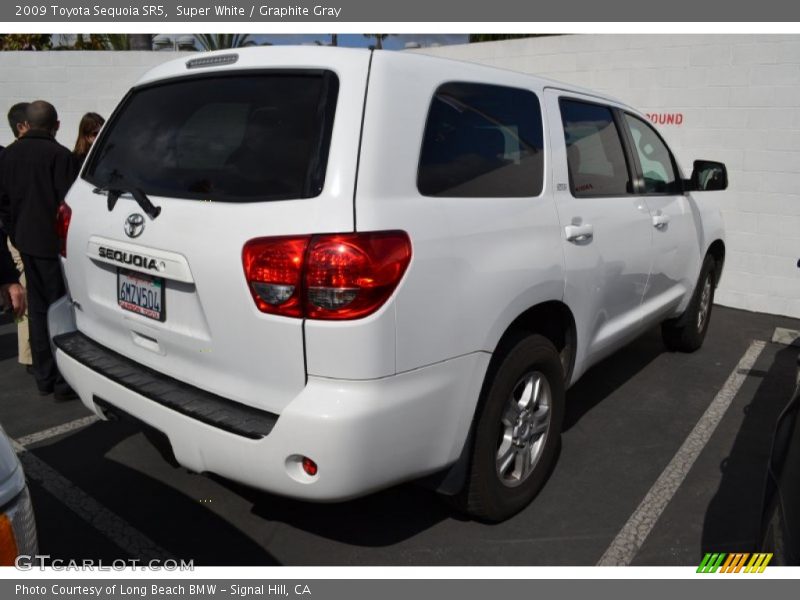 Super White / Graphite Gray 2009 Toyota Sequoia SR5