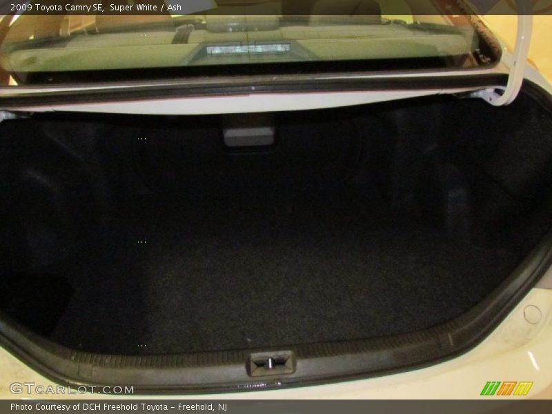 Super White / Ash 2009 Toyota Camry SE