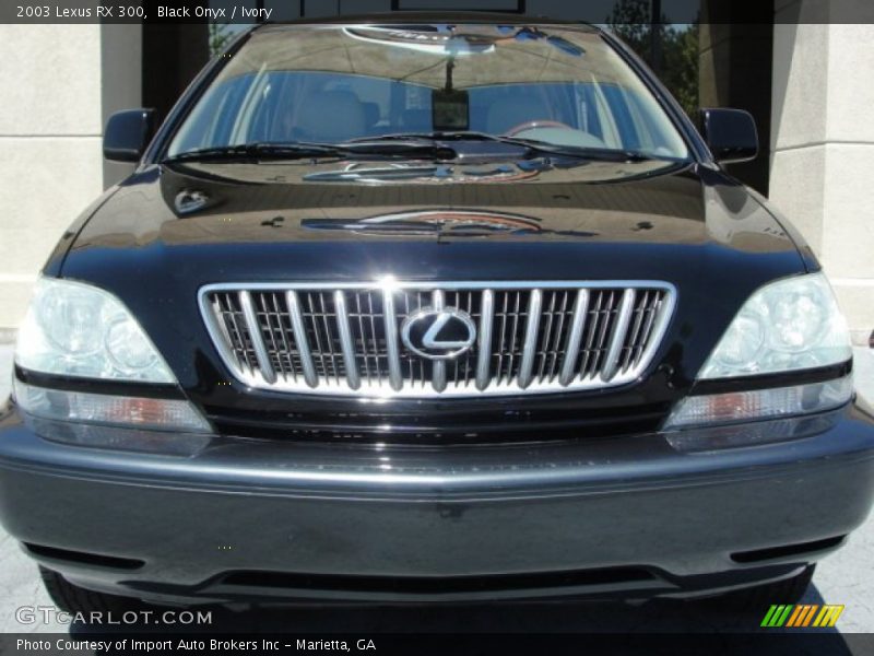 Black Onyx / Ivory 2003 Lexus RX 300