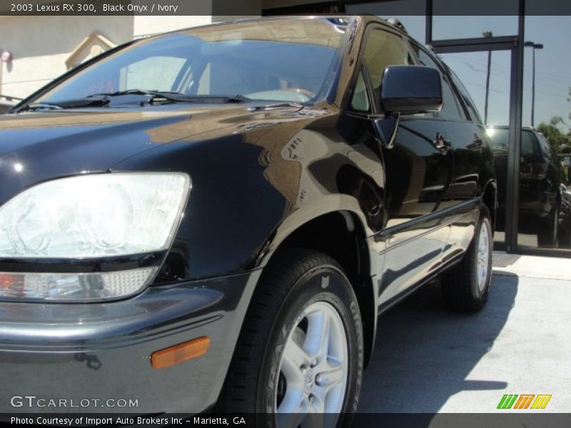 Black Onyx / Ivory 2003 Lexus RX 300
