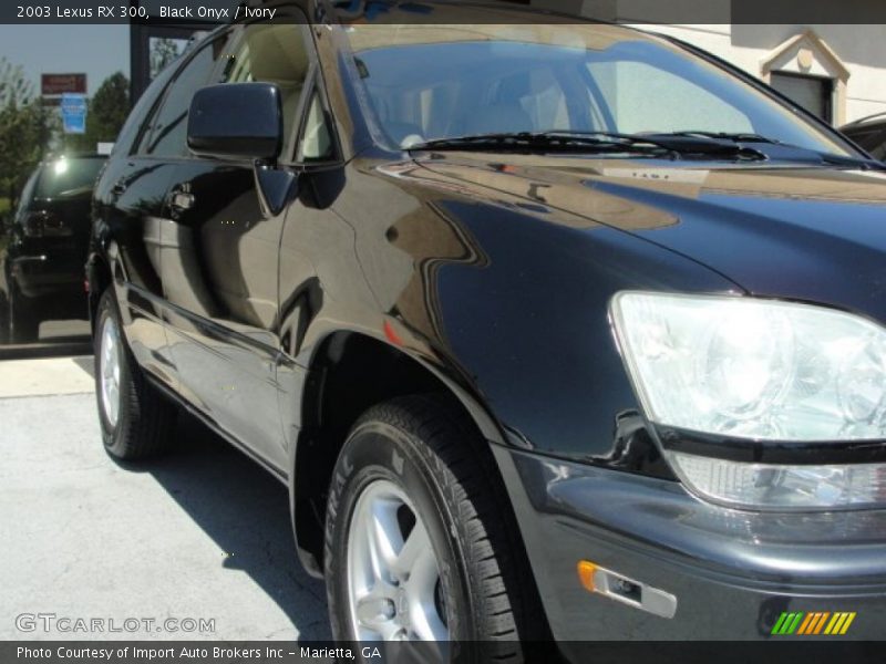 Black Onyx / Ivory 2003 Lexus RX 300