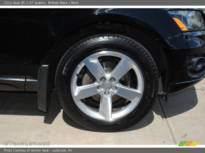 Brilliant Black / Black 2011 Audi Q5 2.0T quattro