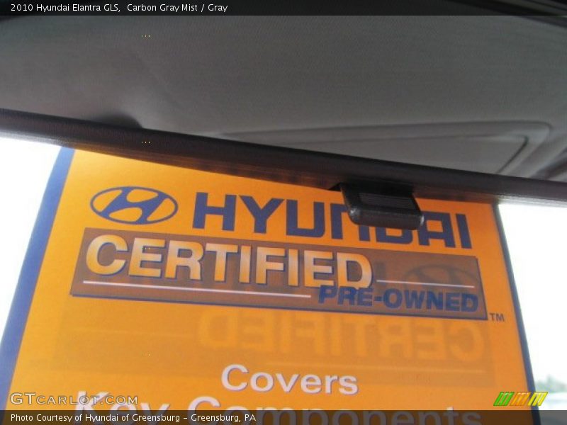 Carbon Gray Mist / Gray 2010 Hyundai Elantra GLS